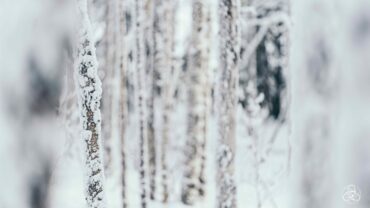 Winterimpressionen aus Finnland